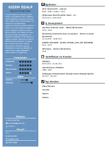 Müzik Öğretmeni Cv Örnekleri cv indir